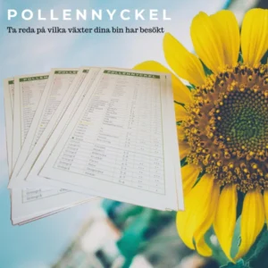 Pollennyckel på avtorkningsbart papper med tabeller över växter, pollenfärger och nektarvärden.